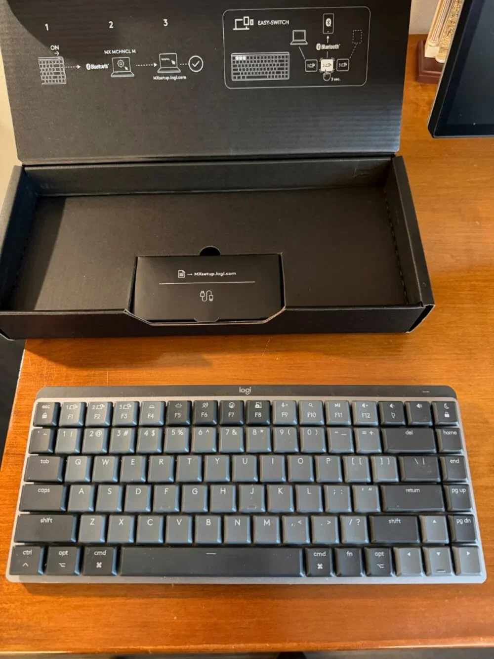 MX Mechanical Mini for Mac